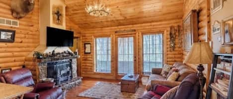 Smart TV, fireplace, DVD player, books