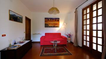 TV connectée, cheminée, livres