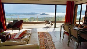 TV, fireplace, DVD player, books