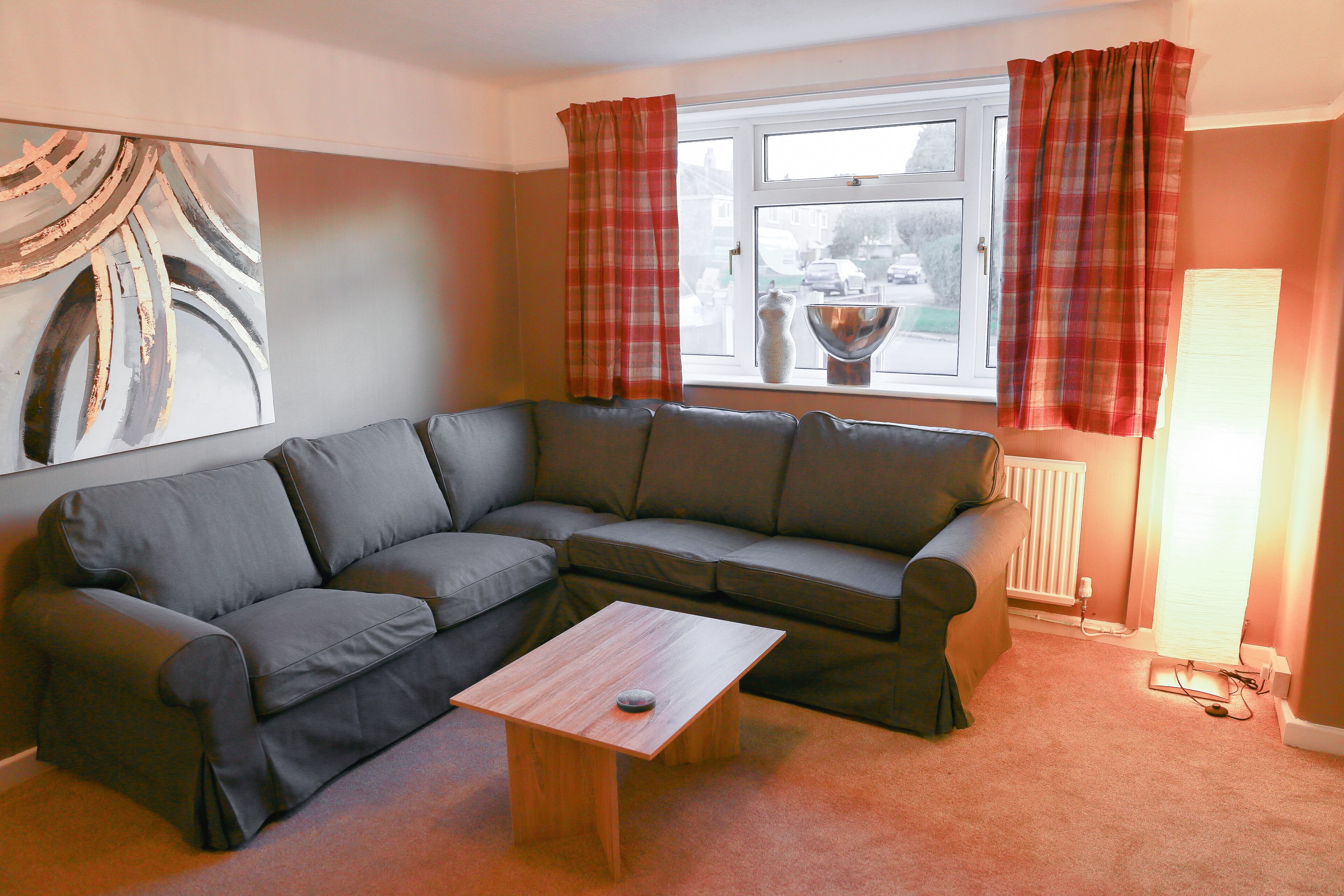 TV, fireplace, DVD player, books