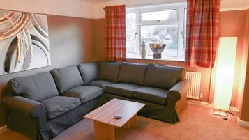 TV, fireplace, DVD player, books