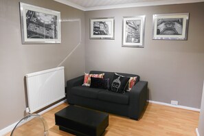 TV, lareira, DVD player, livros