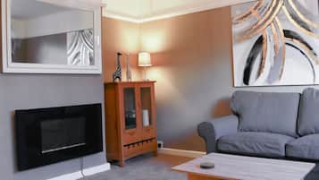 Televisión, chimenea, reproductor de DVD, libros