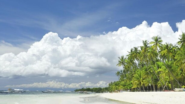 A beach with white sand, palm trees, and boats in the water. - Heartland Hotel Service Rooms and Apartments (Panglao)