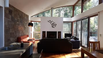 Televisión, chimenea, reproductor de DVD y libros