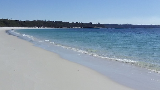 A wide, sandy beach with clear blue water and a distant tree line. - Jean's Cosy Sunny Cottage Sanctuary Point NSW Close to Palm Beach.
Netflix.  (Sanctuary Point)
