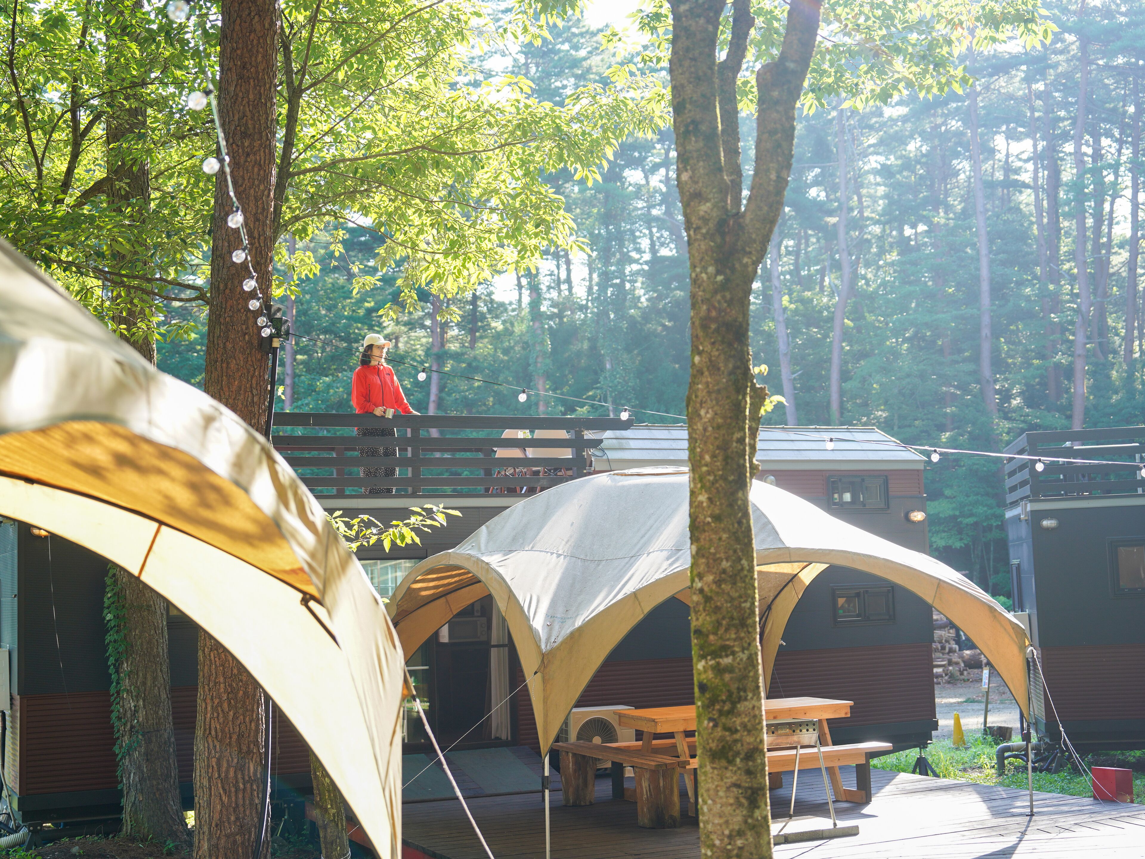 A campsite with tents, wooden picnic tables, and a bridge connecting different areas.