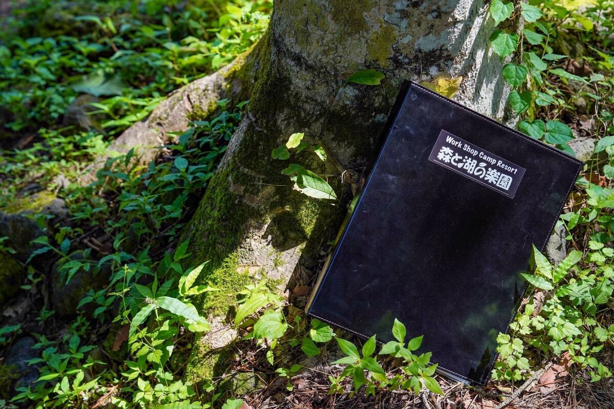 Ein schwarzes Ordner an einem Baumstamm in einem bewaldeten Gebiet.