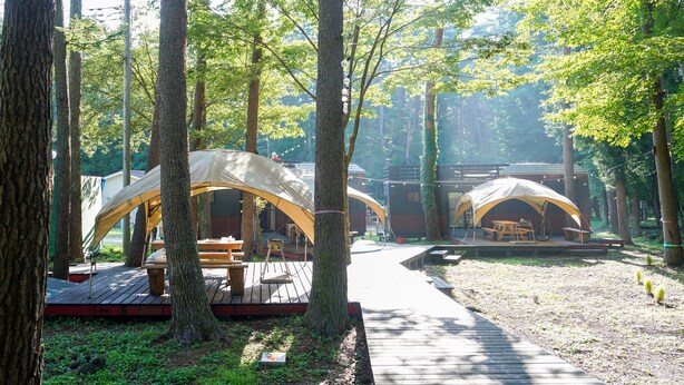 A forested campsite with treehouses connected by a wooden pathway. - Shimizu Kuniaki’s Paradise of Forest and Lake (Fujikawaguchiko)