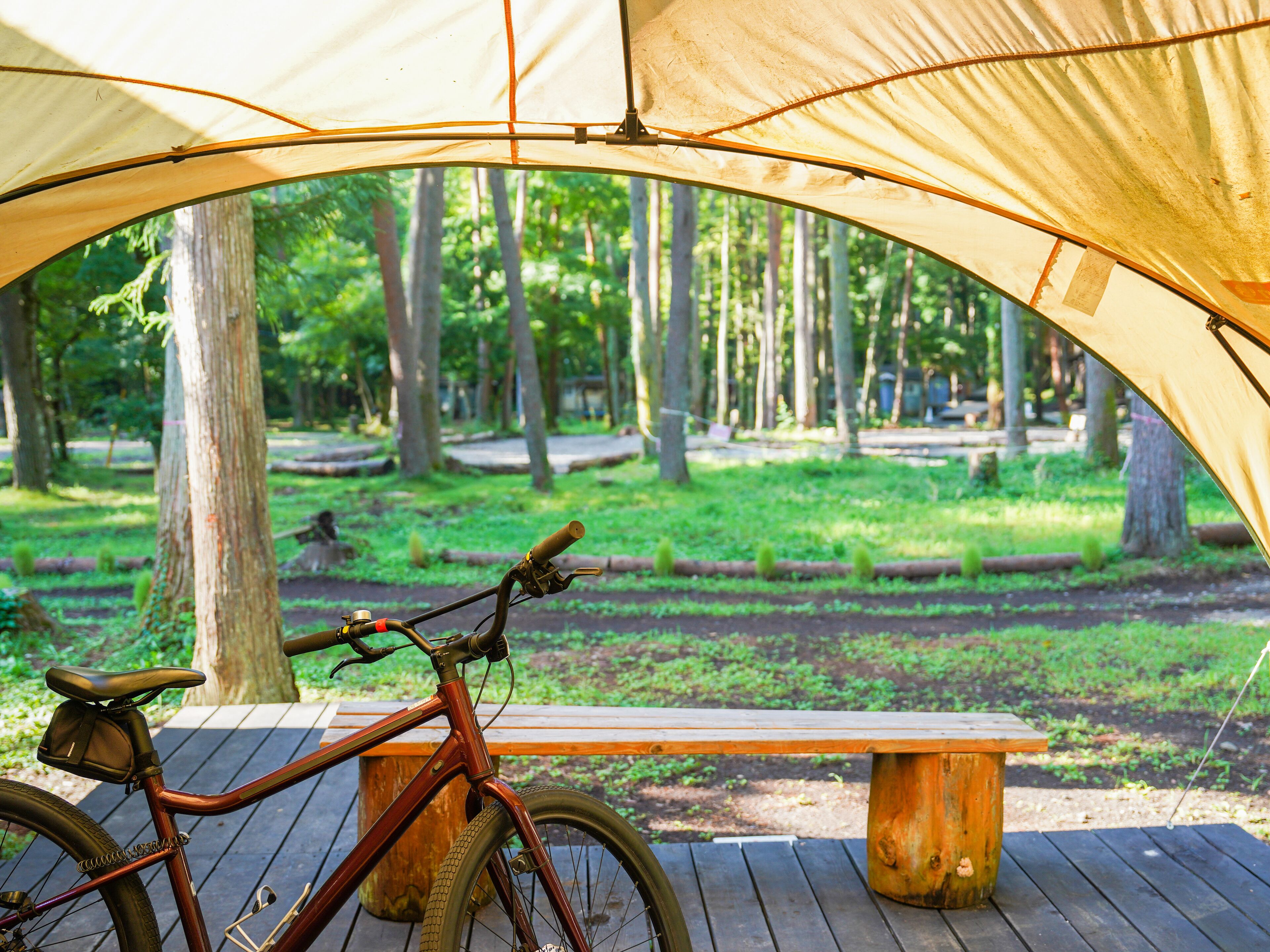 Ein Fahrrad, das unter einem Zelt in einer bewaldeten Gegend abgestellt ist, mit einer Holzbank in der Nähe.