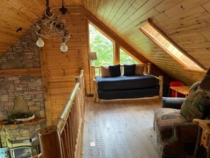 TV, peis, DVD-spiller og filmbibliotek