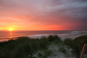 在海滩、沙滩椅