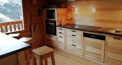 Chalet en bois massif aux pieds des pistes .