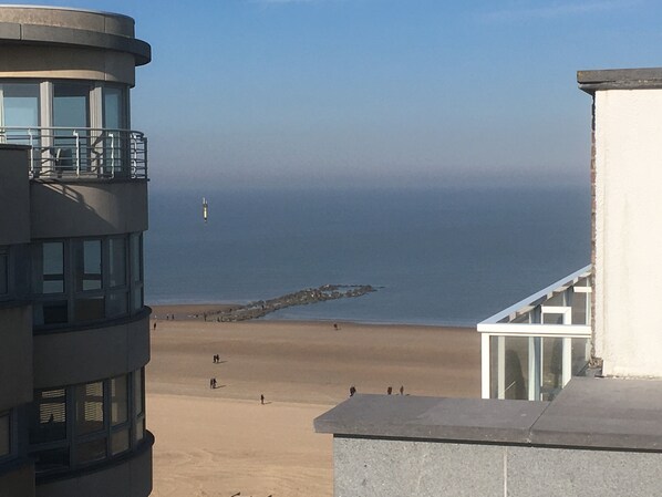 Nær stranden og solsenger