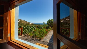 Blick aus einem Fenster mit Holzrahmen auf einen Garten mit roten Blumen und einem Kiesweg.