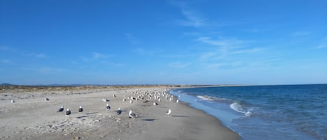 Beach nearby, sun loungers