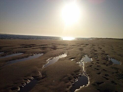 Gemütliches Haus in Strandnähe mit Terrasse. Angebote einsehen. Armona Island