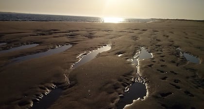 Gemütliches Haus in Strandnähe mit Terrasse. Angebote einsehen. Armona Island
