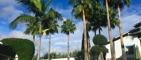 Een buitenzwembad en een verwarmd zwembad