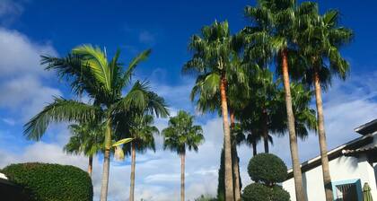 Stunning, private villa with beautiful pool, gardens & views