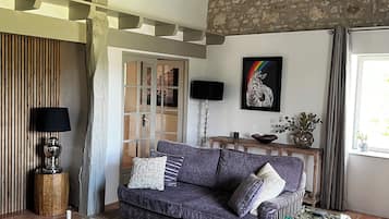 TV connectée, cheminée, lecteur de DVD, livres