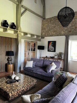 Smart-tv, een open haard, een dvd-speler en boeken