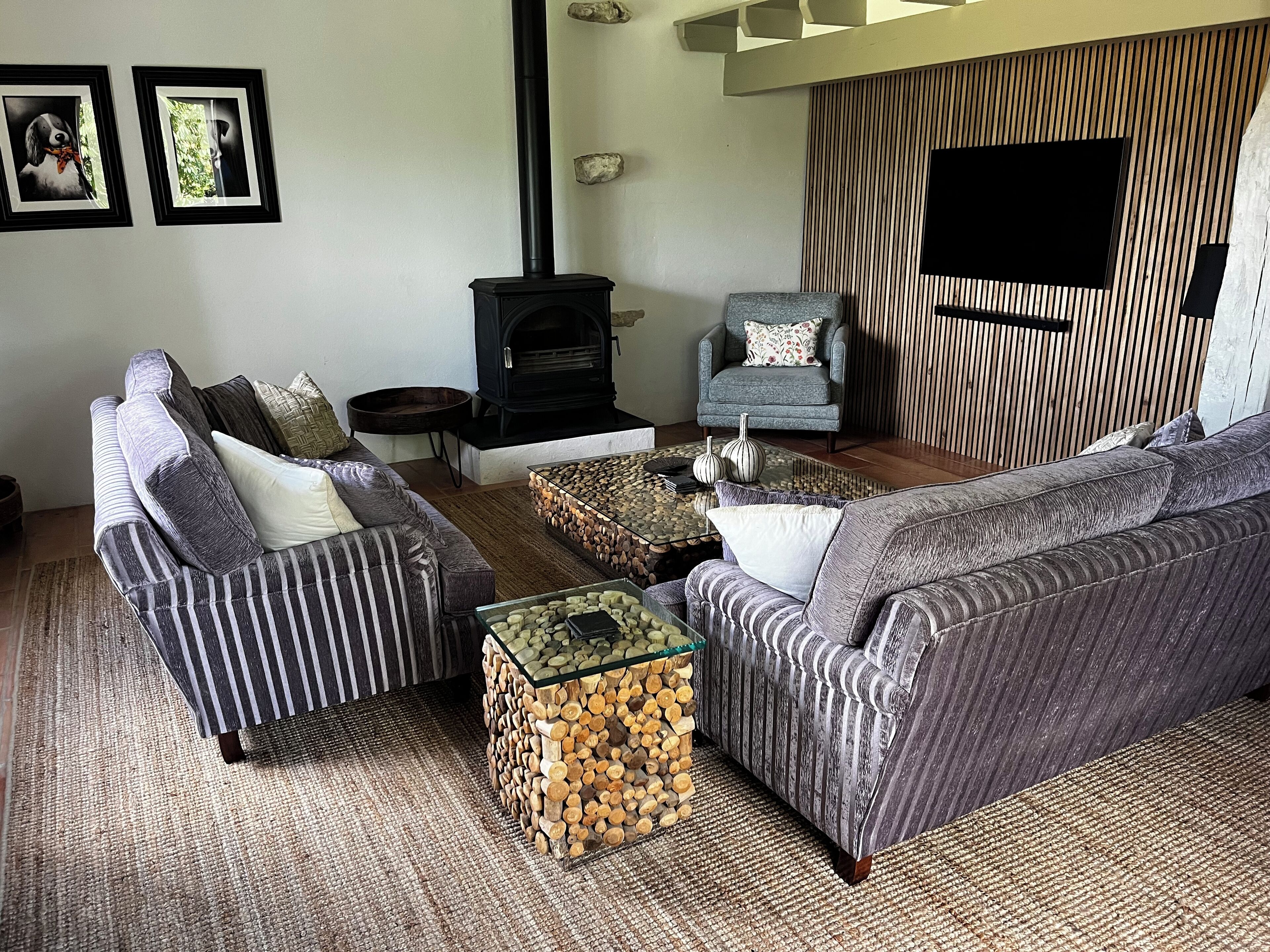 TV connectée, cheminée, lecteur de DVD, livres