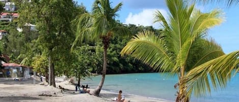 Playa en los alrededores