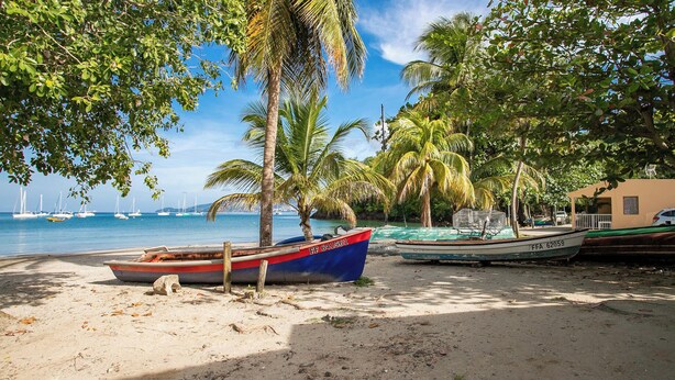 Una playa con barcos, palmeras y cielo despejado.