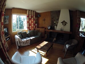 TV, fireplace, DVD player, books