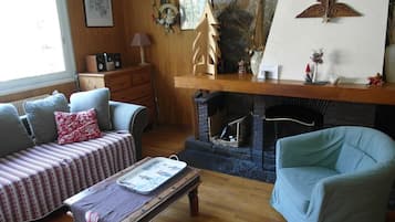 Una televisión, una chimenea, un reproductor de DVD, libros