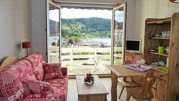 Una televisión, un reproductor de DVD, libros