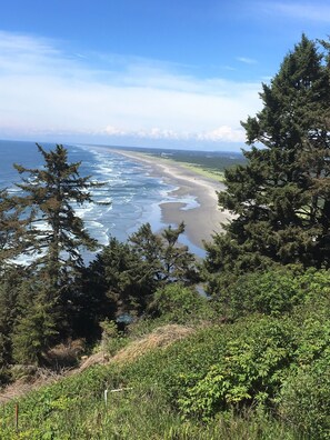 Paesaggio costiero con spiaggia, onde oceaniche e fitta vegetazione.