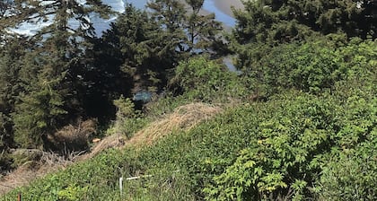 Short walk to beach, fully equipped home, WiFi, & quiet neighborhood!