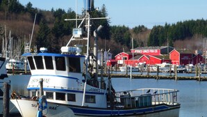 A boat docked at a marina with a red building labeled 'JESSIES WACO FISH CO' in the background.