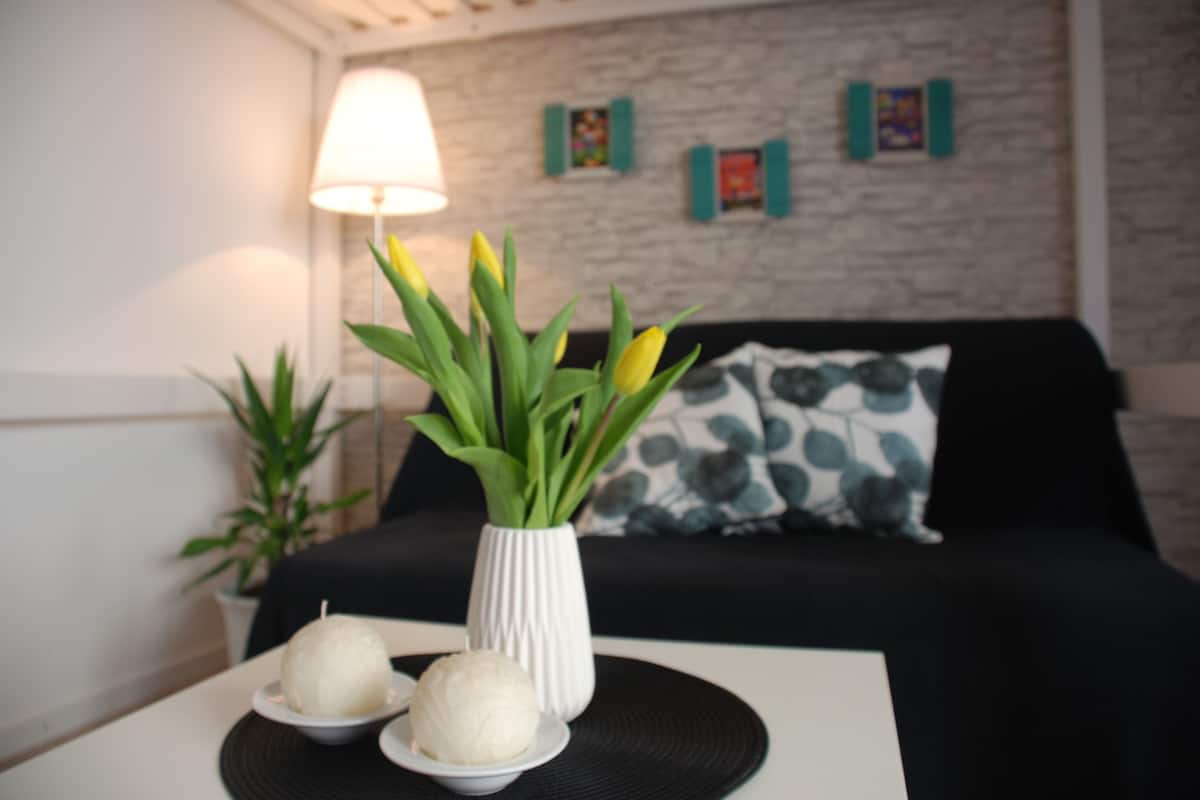 Studio, Multiple Beds, Non Smoking | Down duvets, soundproofing, iron/ironing board, free WiFi
