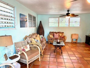 TV connectée, lecteur de DVD, livres, vidéothèque