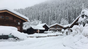 A snow-covered lodge with multiple wooden cabins, a clear path leading to the entrance, and a forested mountain backdrop. - Appart cozy 4/6 pers in residence hotel 4 *, TB located, calm, wifi, park (Chamonix-Mont-Blanc)