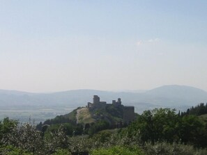 Land view from property - Appartamenti La Pineta Assisi (Assisi)