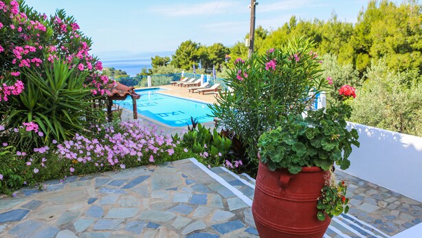 A stone-paved pool area with lounge chairs, surrounded by lush greenery and flowering plants. - Angelina Studios (Skiathos)