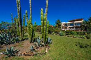 A garden with tall cacti and agave plants, a well-maintained lawn, and a two-story building with a balcony.