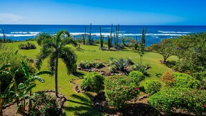 Een aangelegde tuin met palmbomen, cactussen en bloeiende planten, die uitkomt op uitzicht over de oceaan.