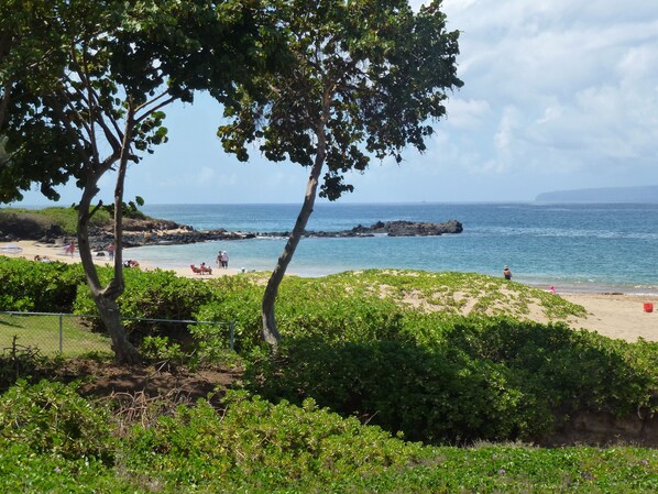 Beach nearby, sun-loungers, beach towels