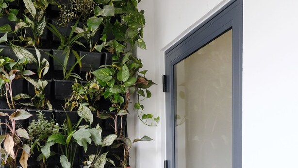A vertical garden with various plants against a white wall, a sliding glass door, and a small table with a potted plant. - 24h Saigon Hotel (Ho Chi Minh City)