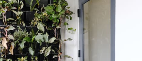 Exclusive Studio, 1 Queen Bed with Sofa bed, Balcony, City View | Balcony