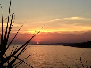A sunset over a calm body of water with silhouettes of plants in the foreground.