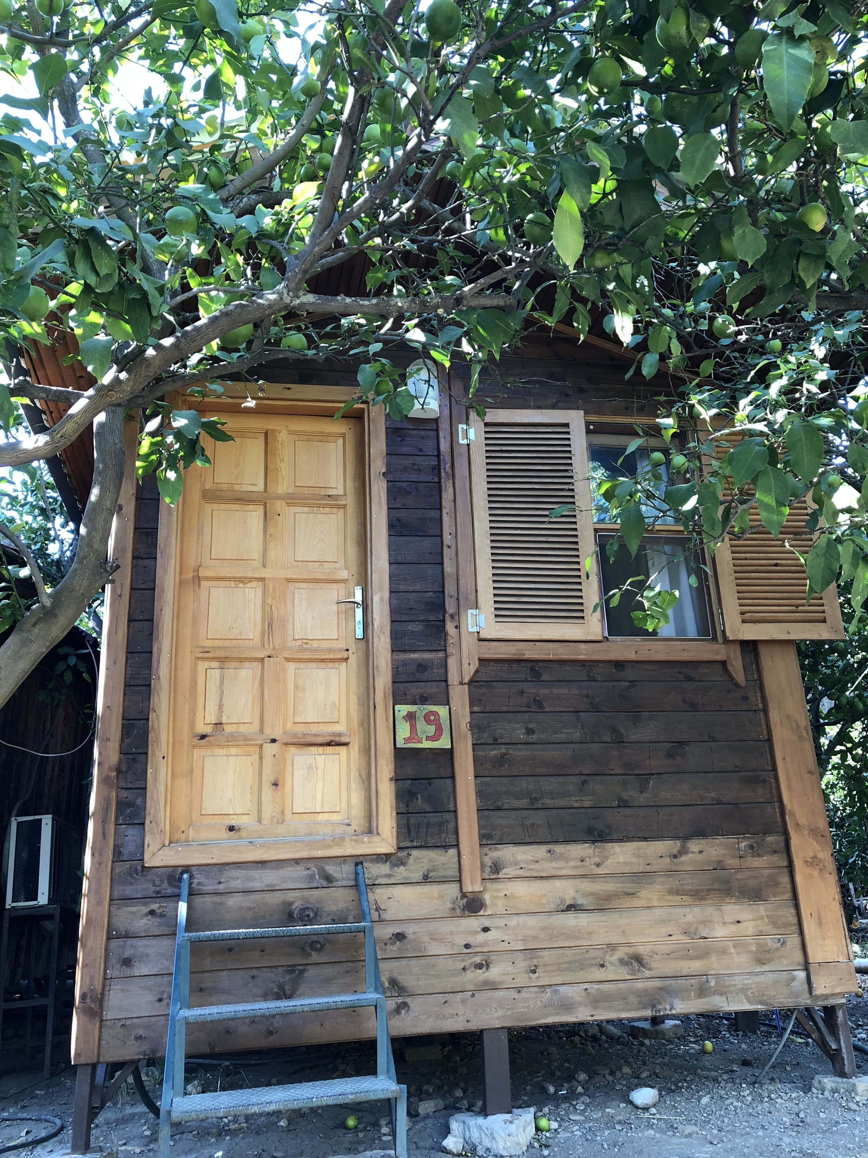 Una cabaña de madera con un portal grande, una ventana con contraventanas y una escalera que lleva a la entrada.