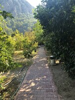 Ein gepflasterter Weg in einem Garten mit üppiger Bepflanzung und einer Bergkulisse.