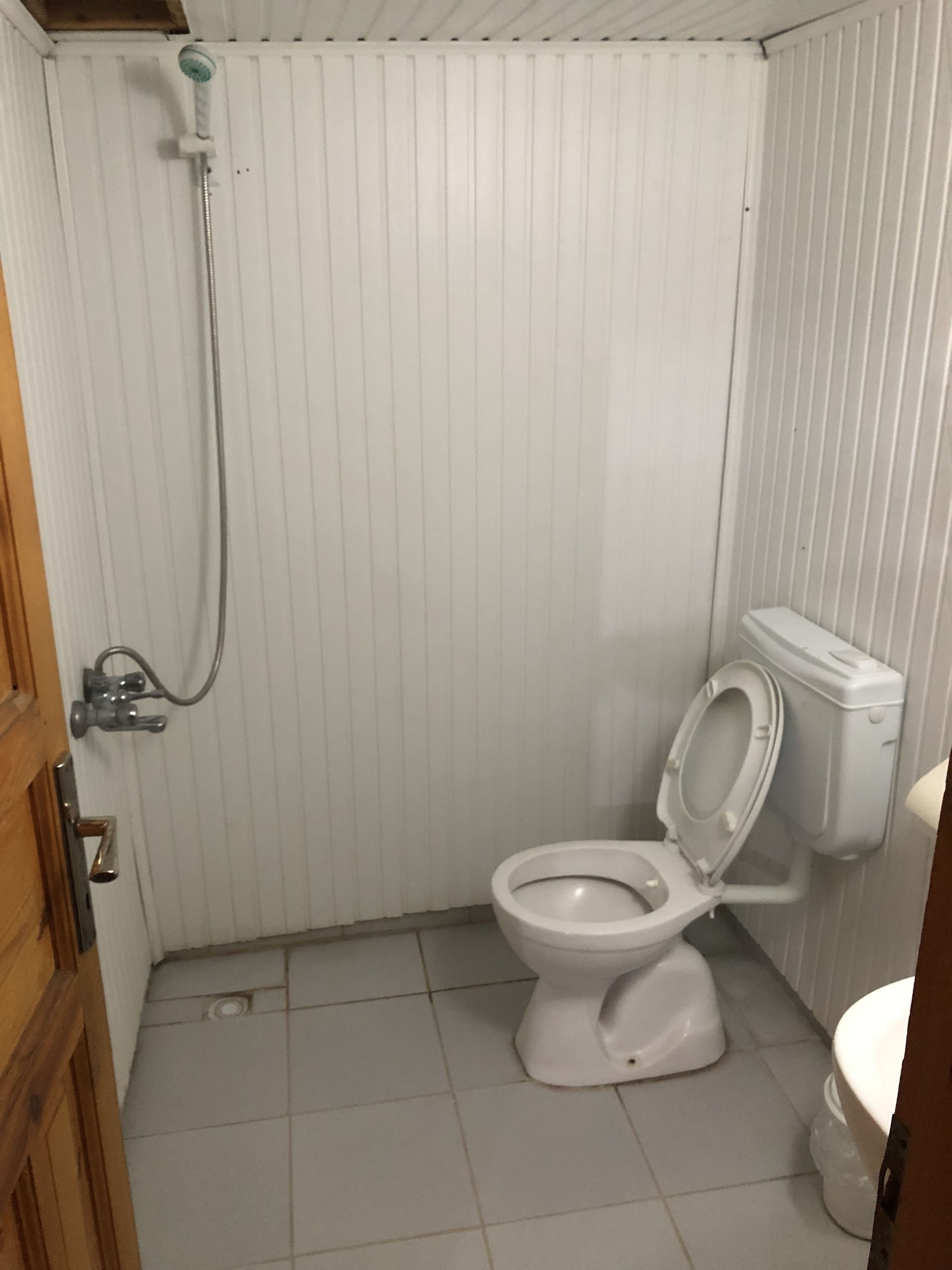 A small, white-walled bathroom with a toilet and a shower.