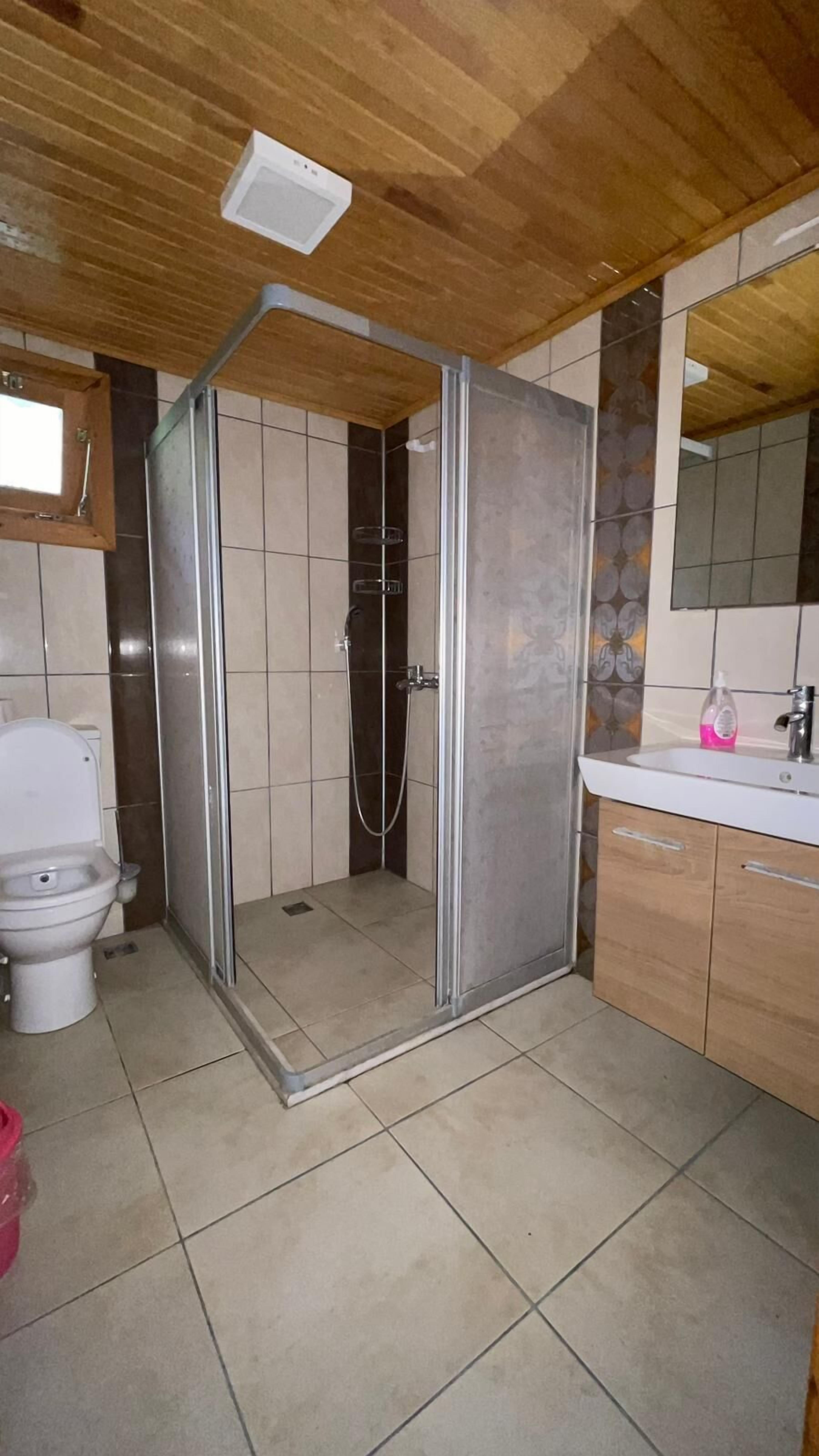 A bathroom with a shower enclosure, a toilet, a sink, and a mirror.